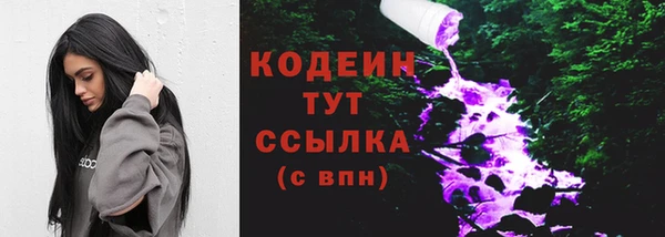 сатива Корсаков