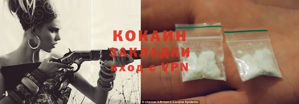 крисы Коряжма