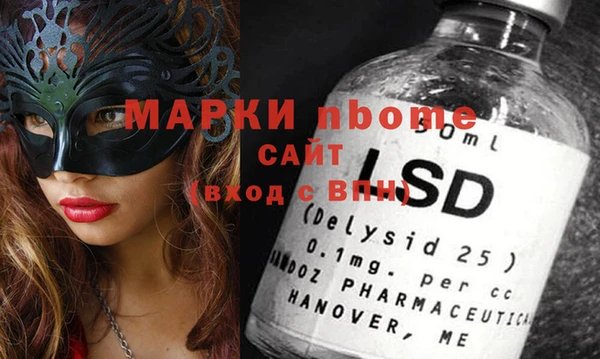 крисы Коряжма