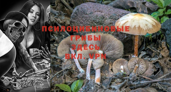 крисы Коряжма