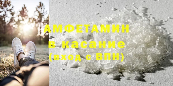 сатива Корсаков