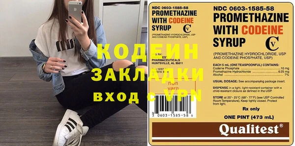 сатива Корсаков