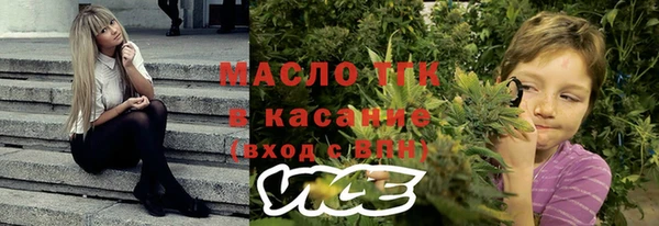 крисы Коряжма