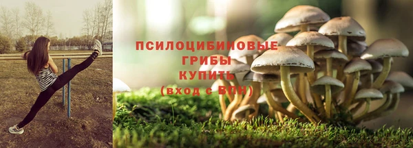 крисы Коряжма