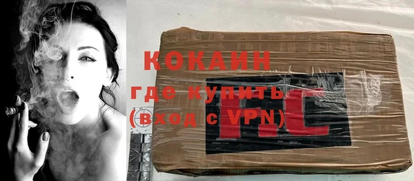 крисы Коряжма